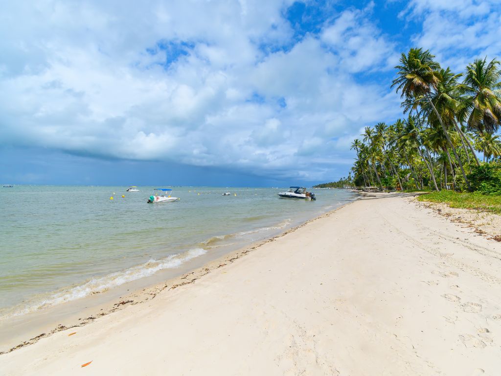 praia dos carneiros