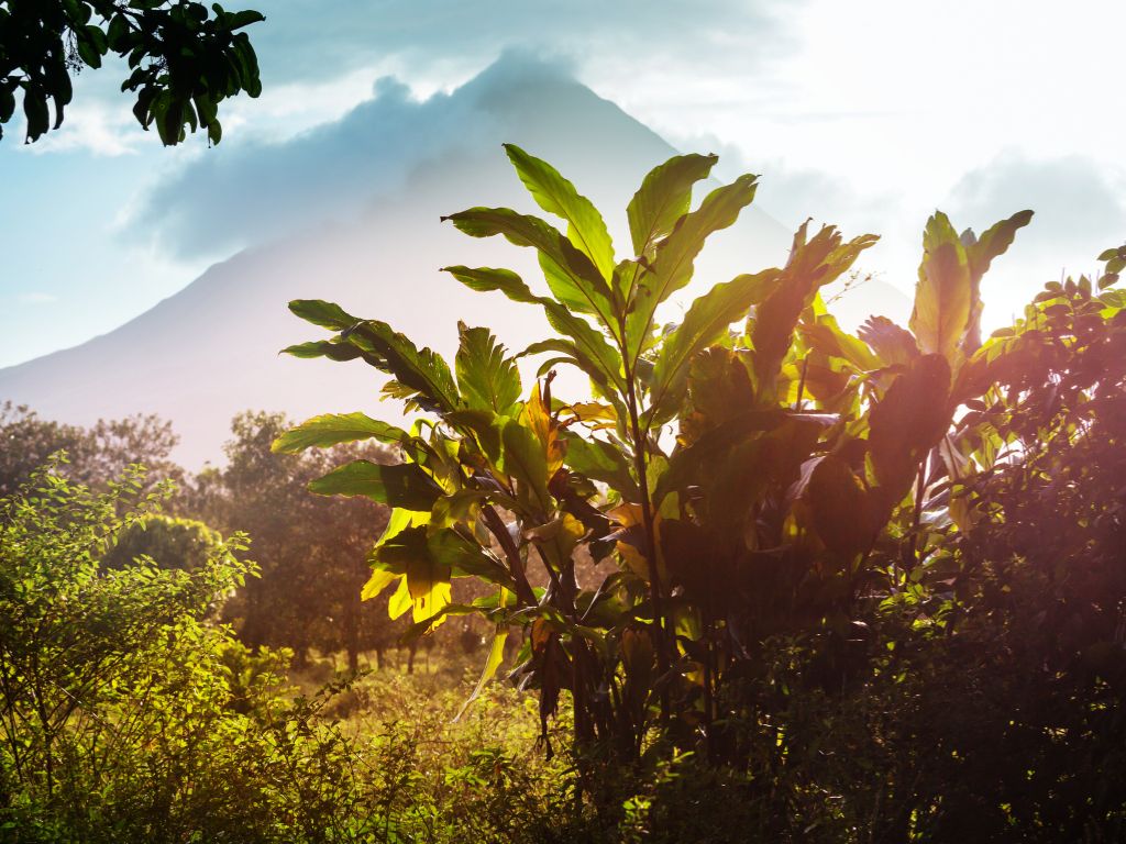 costa rica